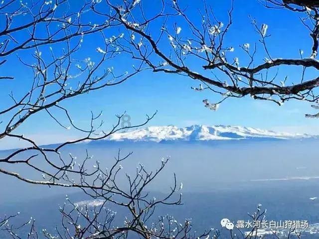 蓝狐视频
