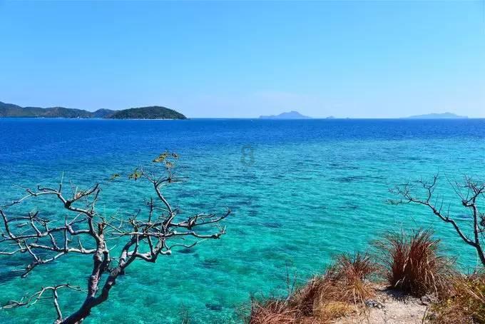 虫虫助手下载
