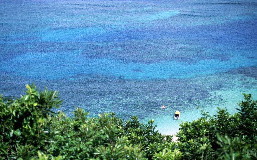 浔城消费市场年味足