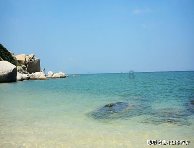 七人全保研这个公益团队个个是学霸