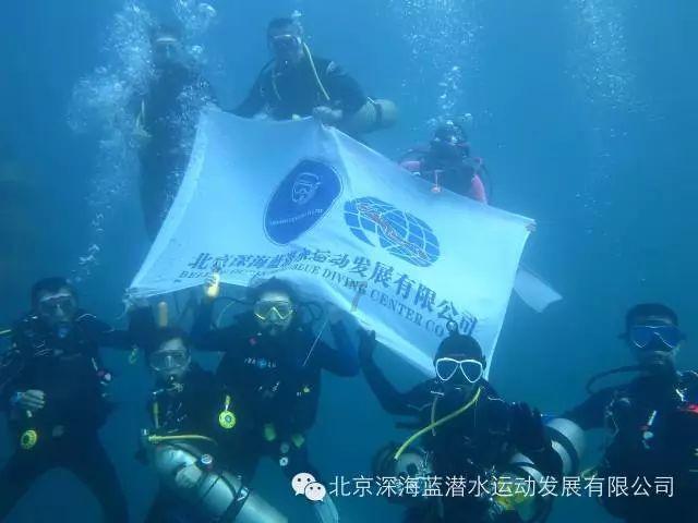 88影视