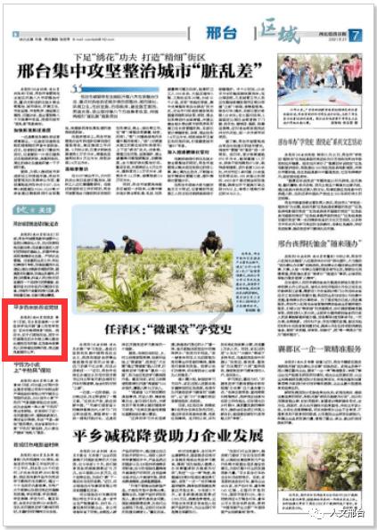 救援小犬立苏