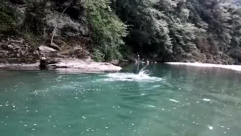 拯救蓝色小鸟