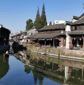 神奇的骆驼：为什么它能吃仙人掌？