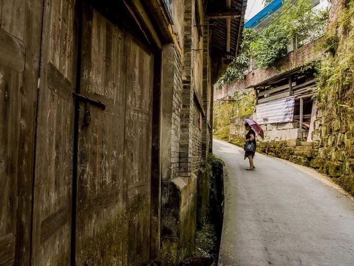 杭州滨江启动春节系列文化惠民活动