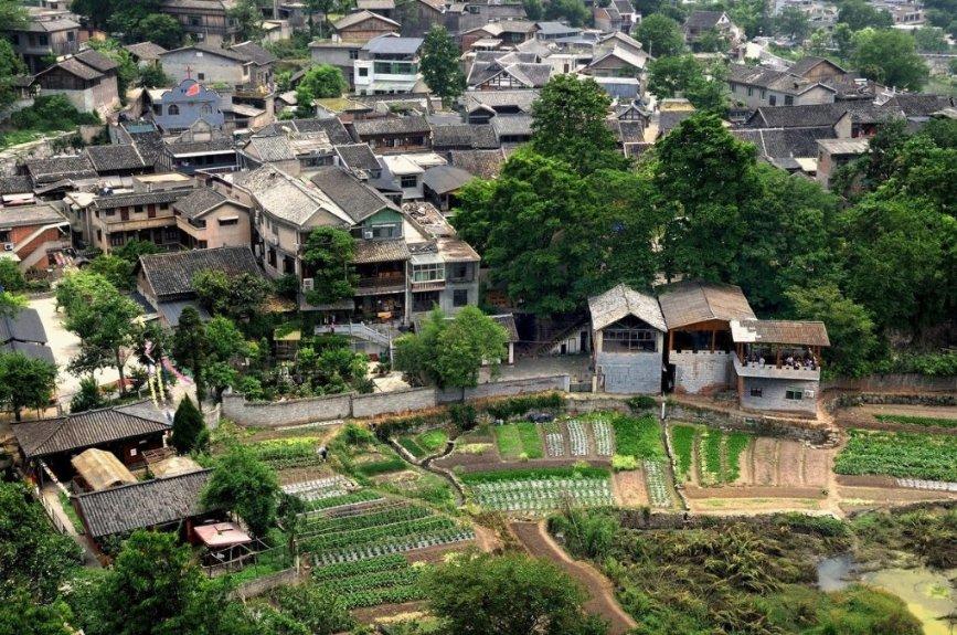 王世龙：队伍执行力较差 最后想犯规没犯上 回去严厉批评他们